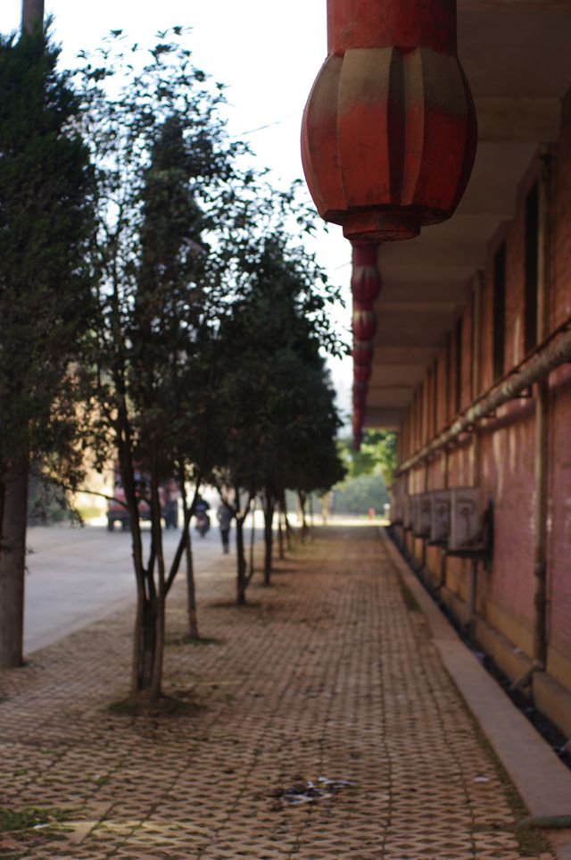 IMGP6154.JPG
