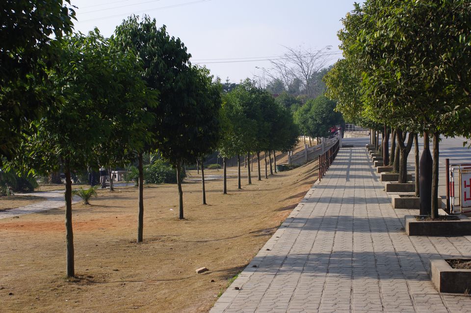 IMGP6125.JPG