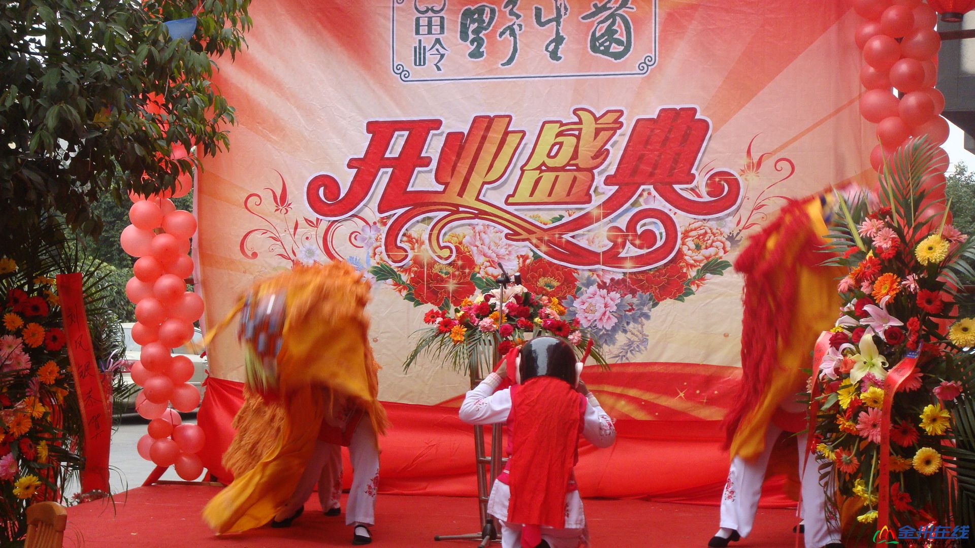 DSC01075.JPG