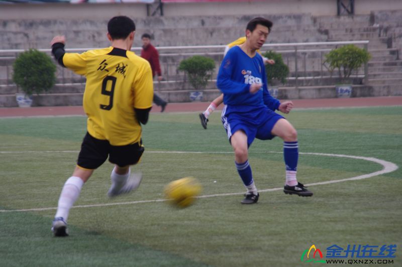 IMGP6323.JPG