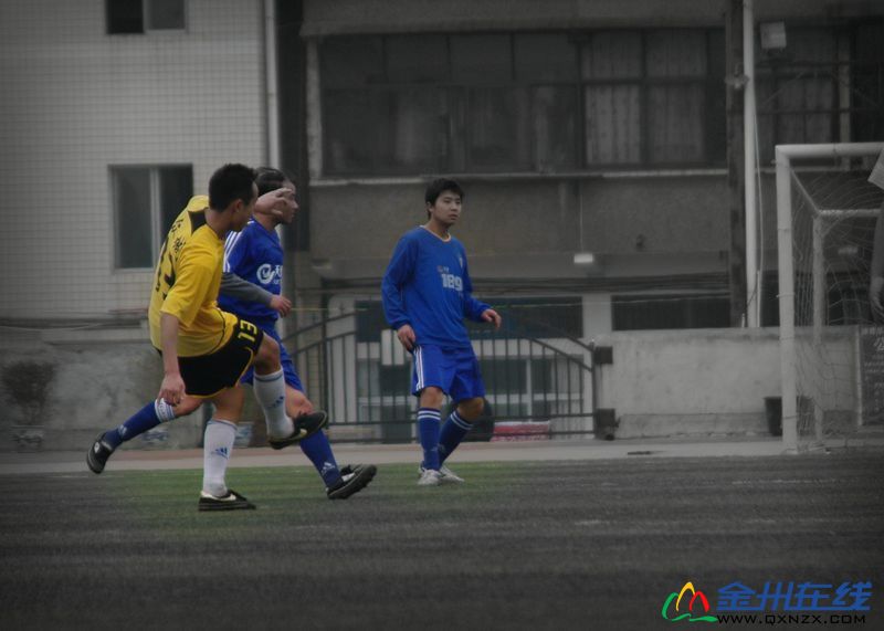 IMGP6454.JPG