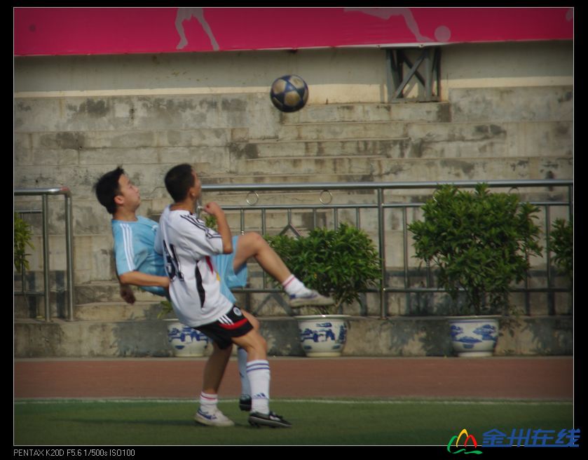 IMGP6969.JPG