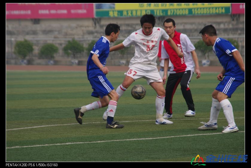 IMGP7151.JPG