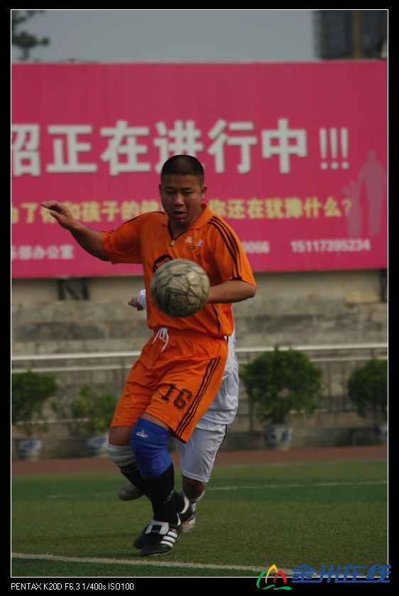 IMGP7304.JPG
