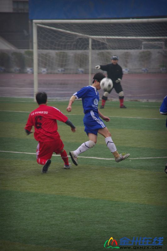 IMGP7515.JPG