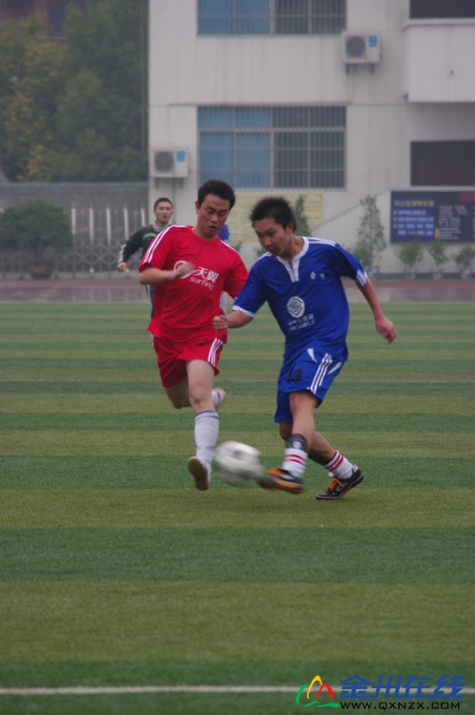 IMGP7541.JPG