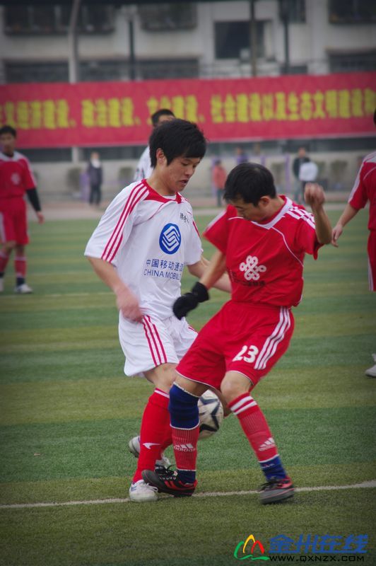 IMGP7741.JPG