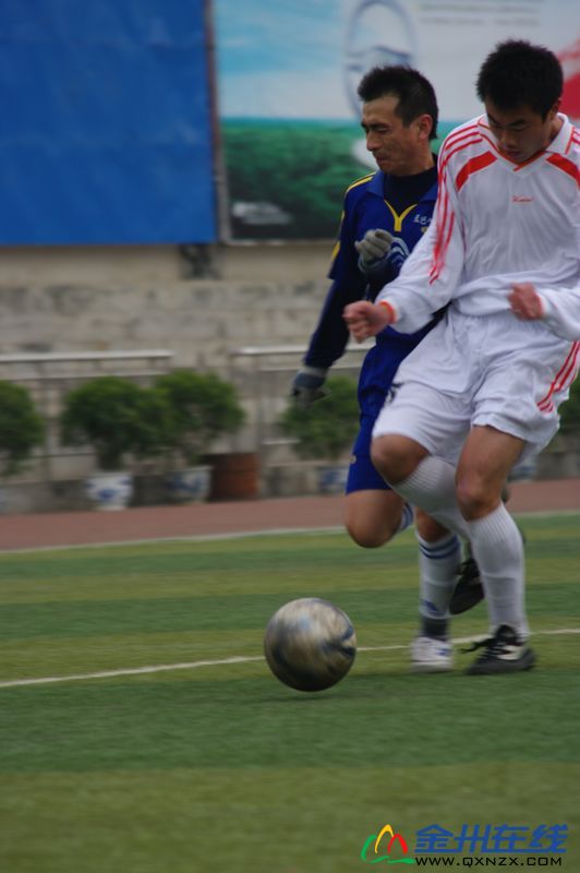 IMGP7966.JPG