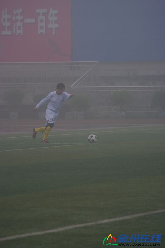IMGP7993.JPG