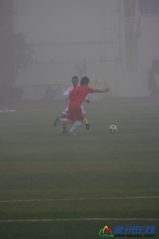 IMGP8023.JPG