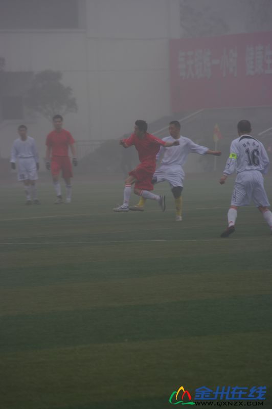 IMGP8031.JPG