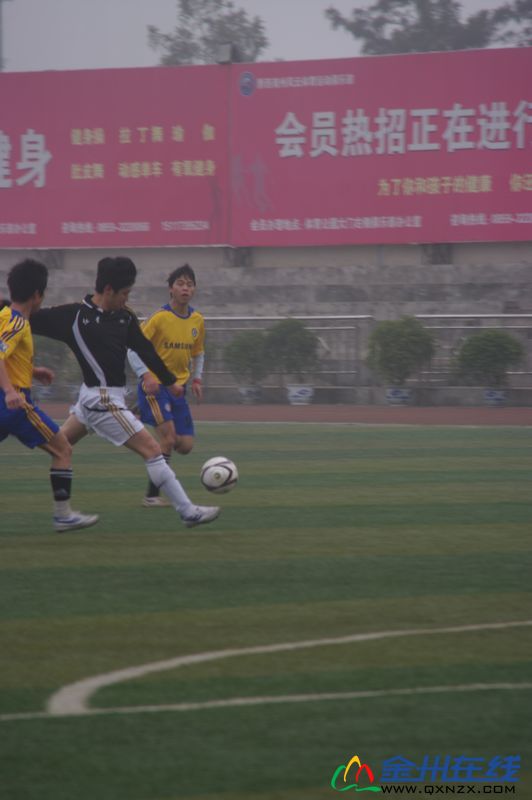 IMGP8056.JPG
