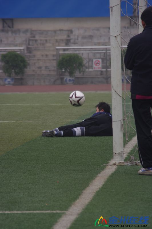 IMGP8054.JPG