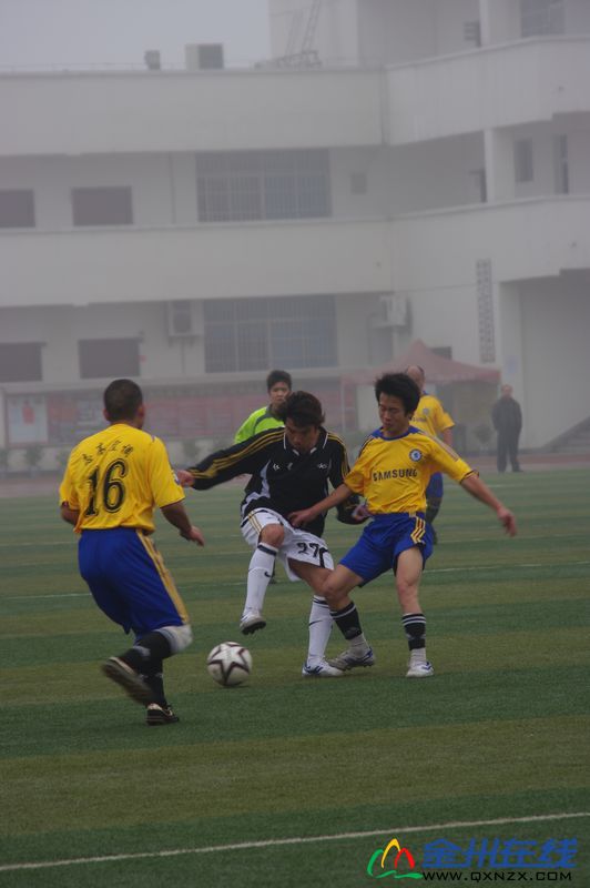 IMGP8064.JPG