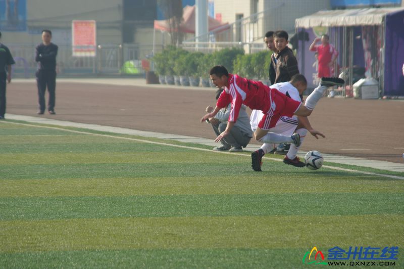 IMGP8287.JPG