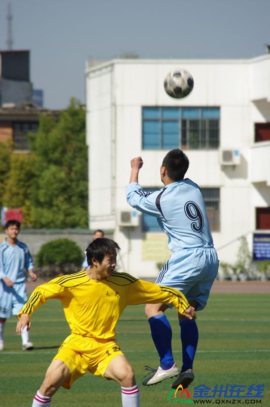 IMGP8475.JPG
