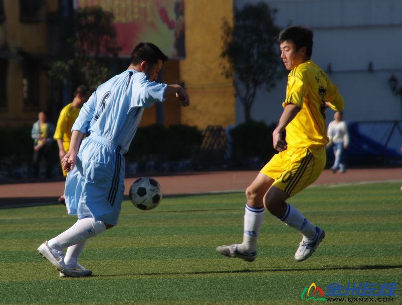 IMGP8628.JPG