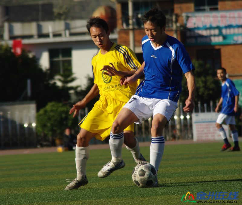 IMGP8667.JPG