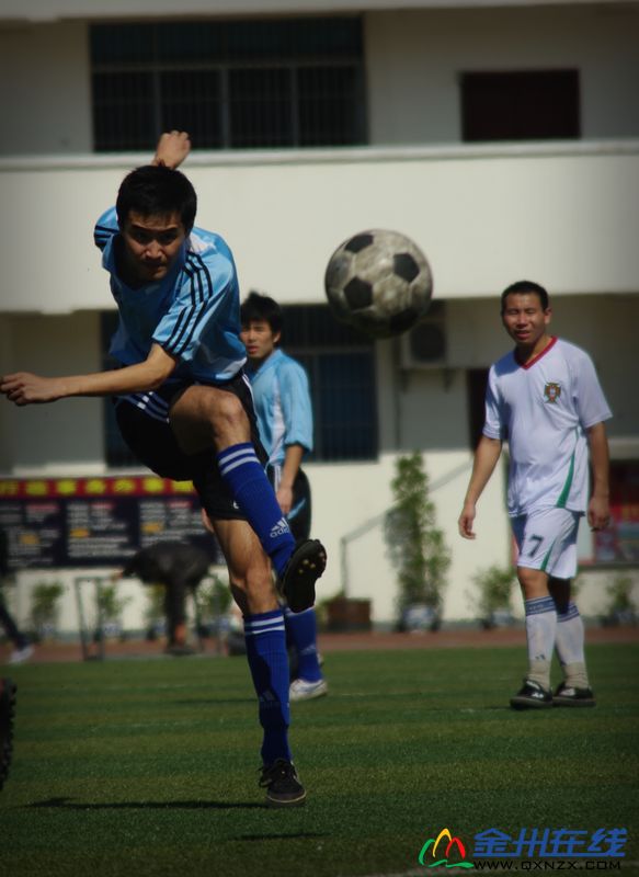 IMGP8989.JPG
