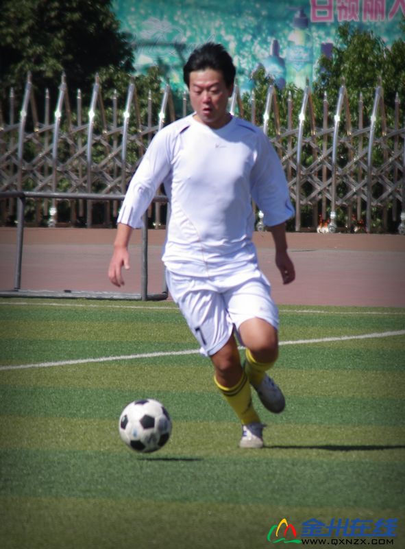 IMGP9046.JPG