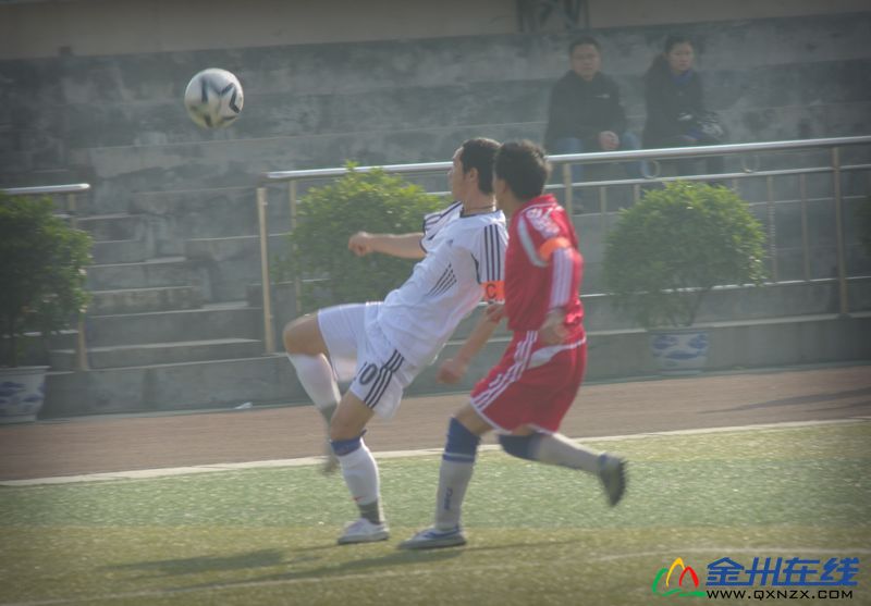 IMGP8291.JPG