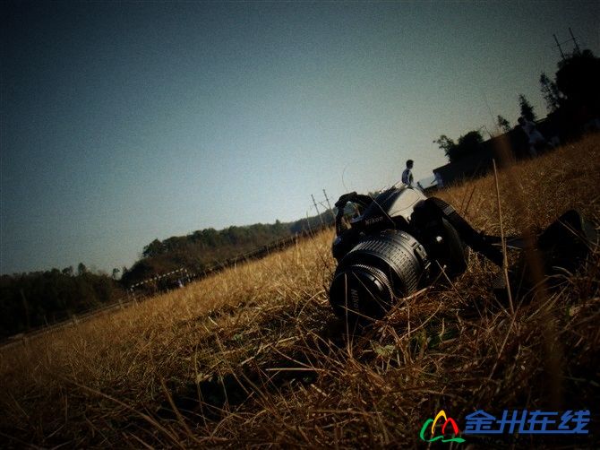 1002010908e2d0cc93cc8e0f08.jpg