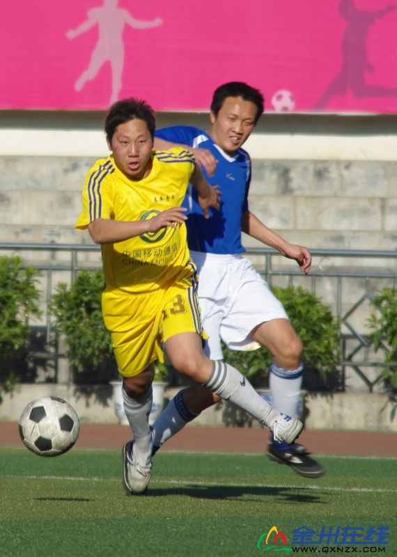 IMGP8681.JPG