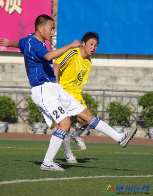 IMGP8682.JPG