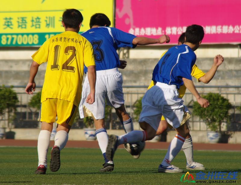 IMGP8697.JPG