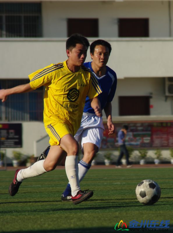 IMGP8699.JPG