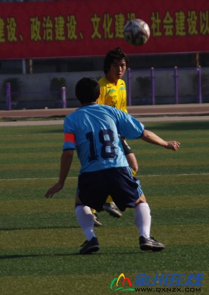 IMGP9203.JPG