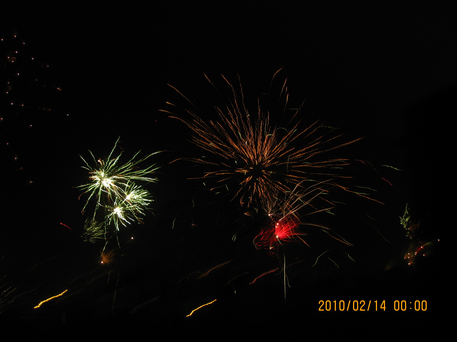 IMG_2479.JPG