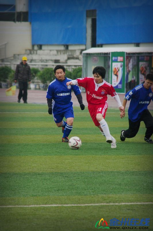 IMGP0167.JPG