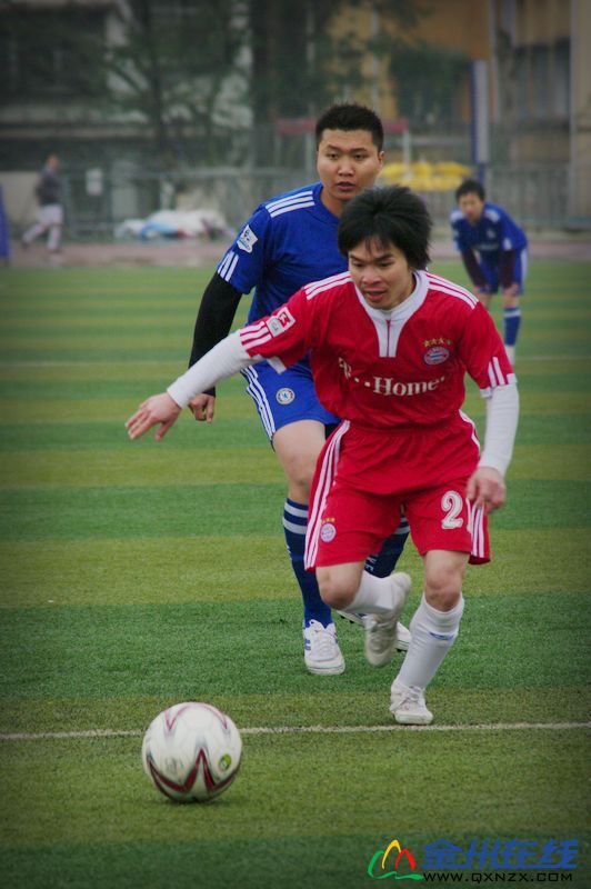 IMGP0172.JPG