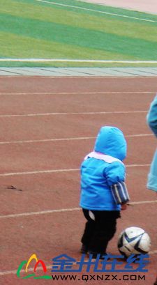 DSC03784.jpg