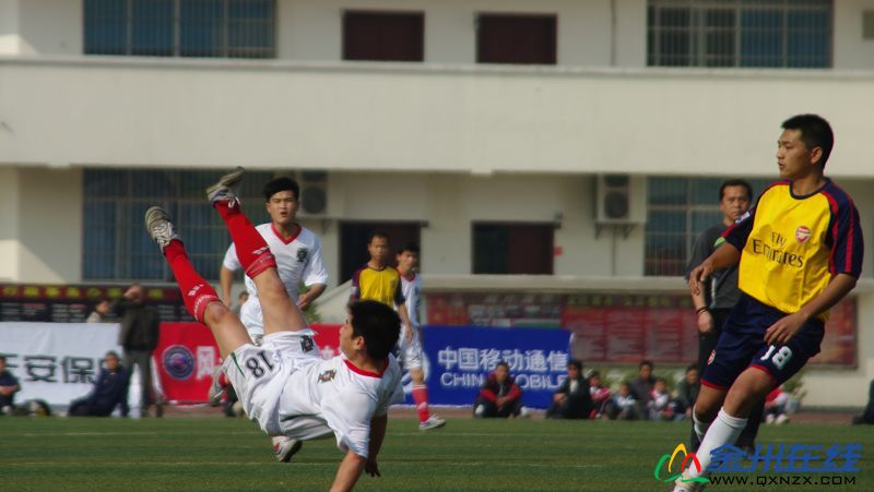 IMGP1160.JPG