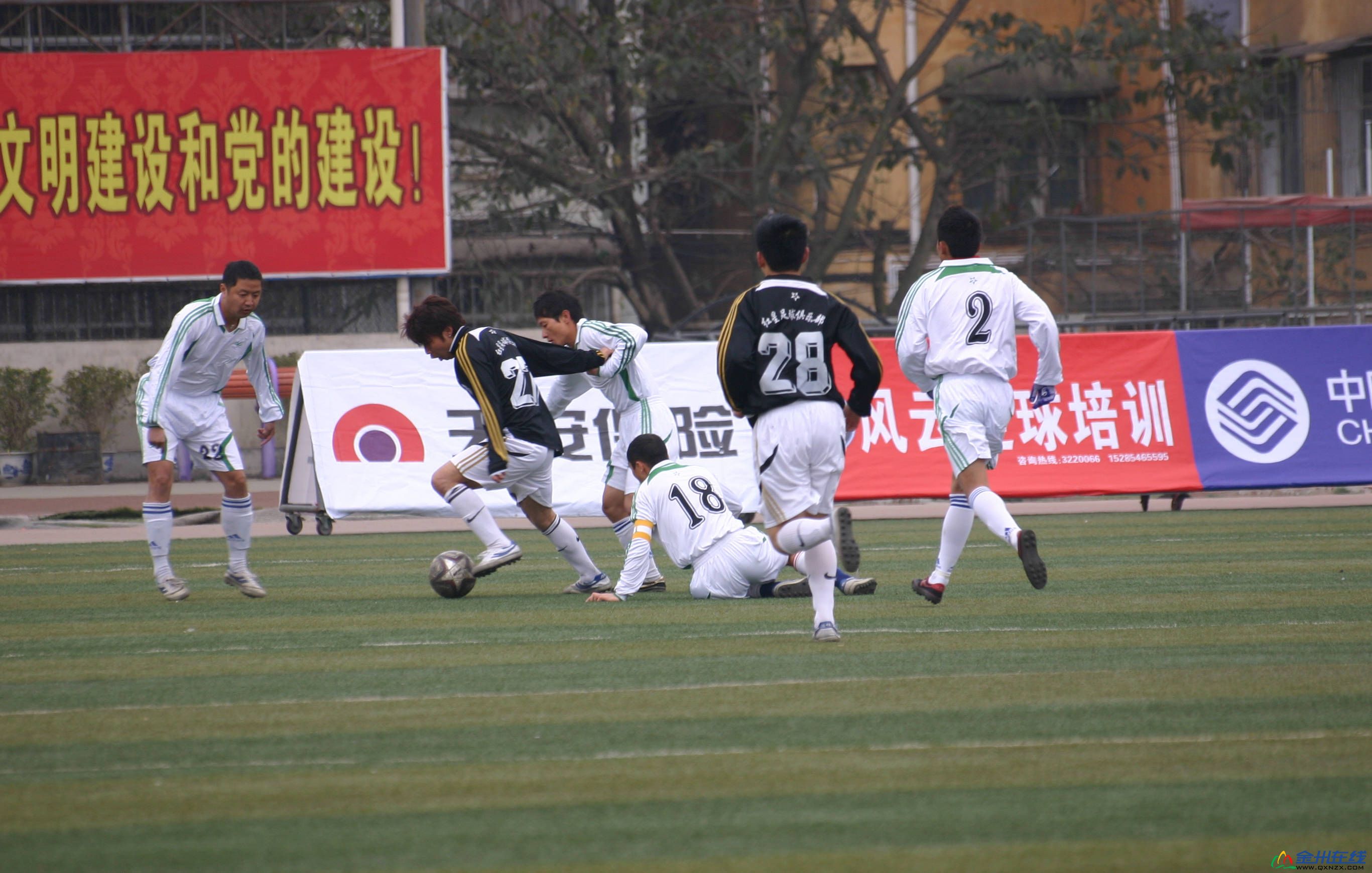 2010 479.jpg