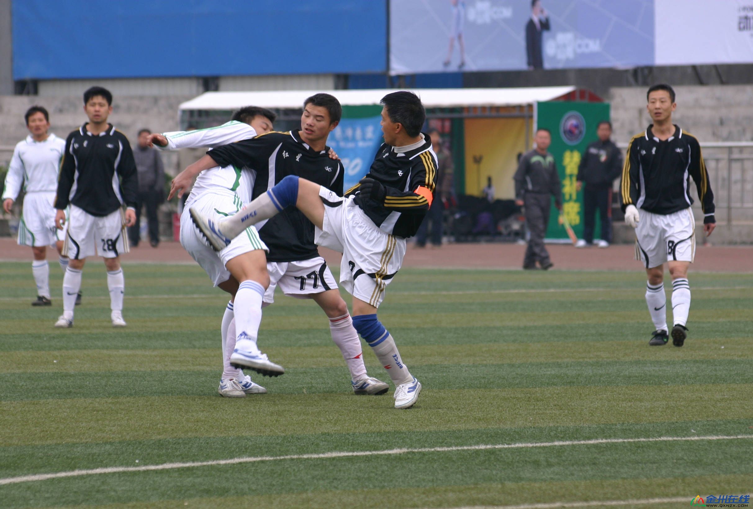2010 565.jpg