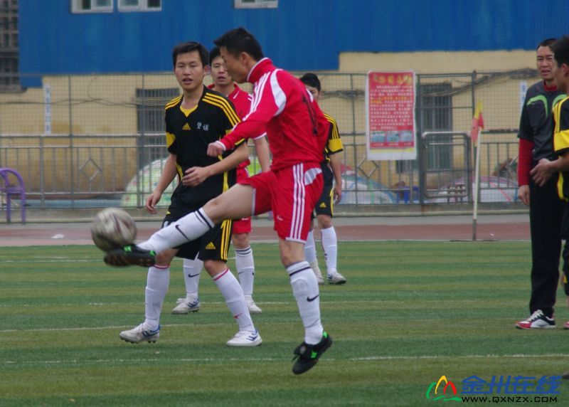 IMGP0742.JPG