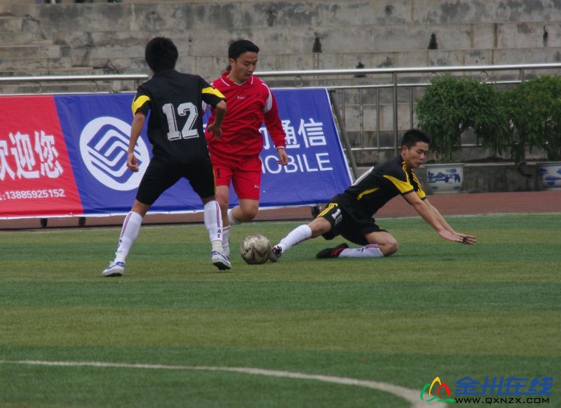 IMGP0747.JPG