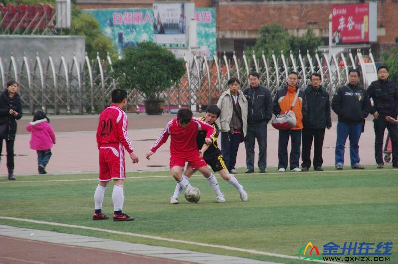 IMGP0818.JPG