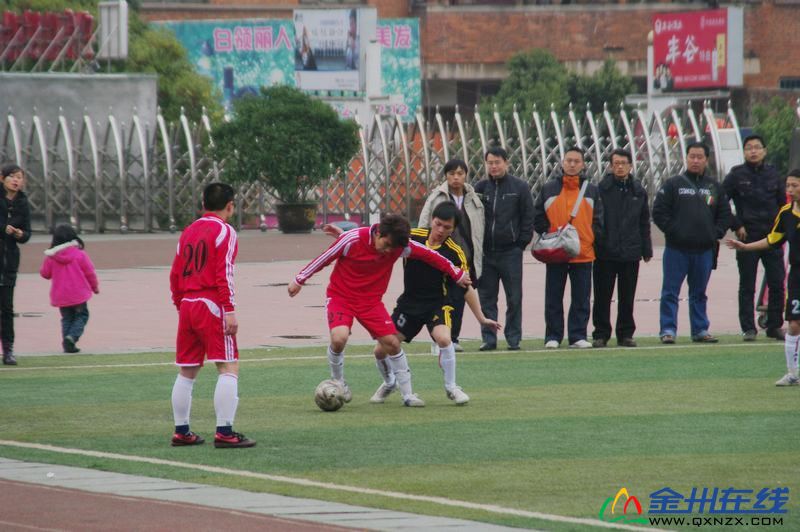 IMGP0817.JPG