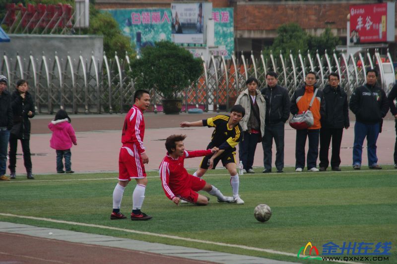 IMGP0819.JPG