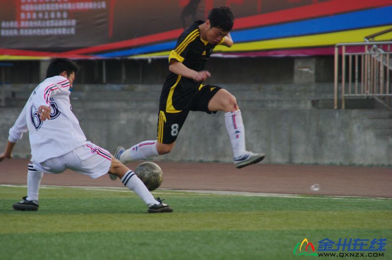 IMGP1440.JPG
