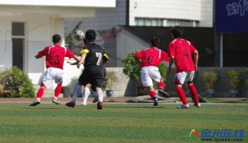 IMGP1785.JPG