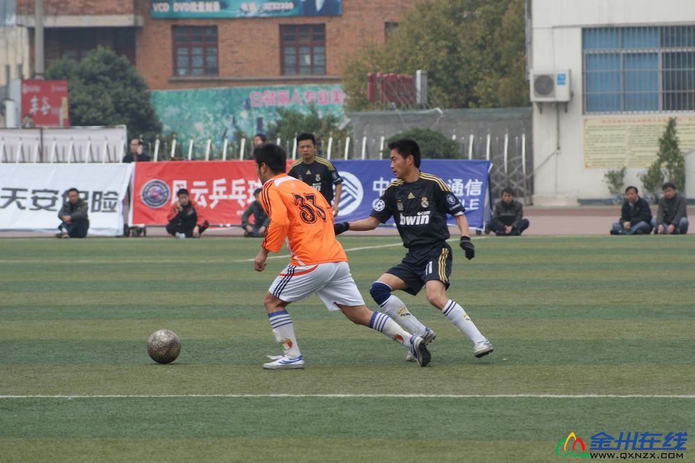 DSC05694.jpg