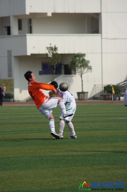 IMGP0887.JPG