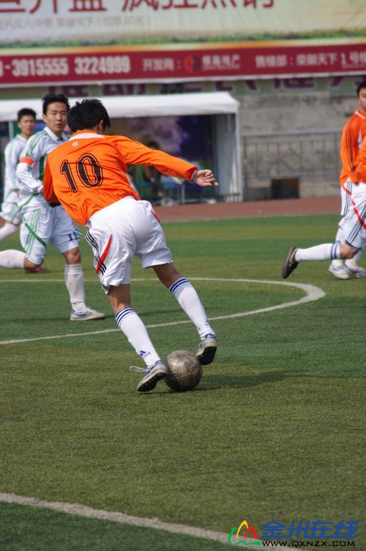 IMGP0920.JPG