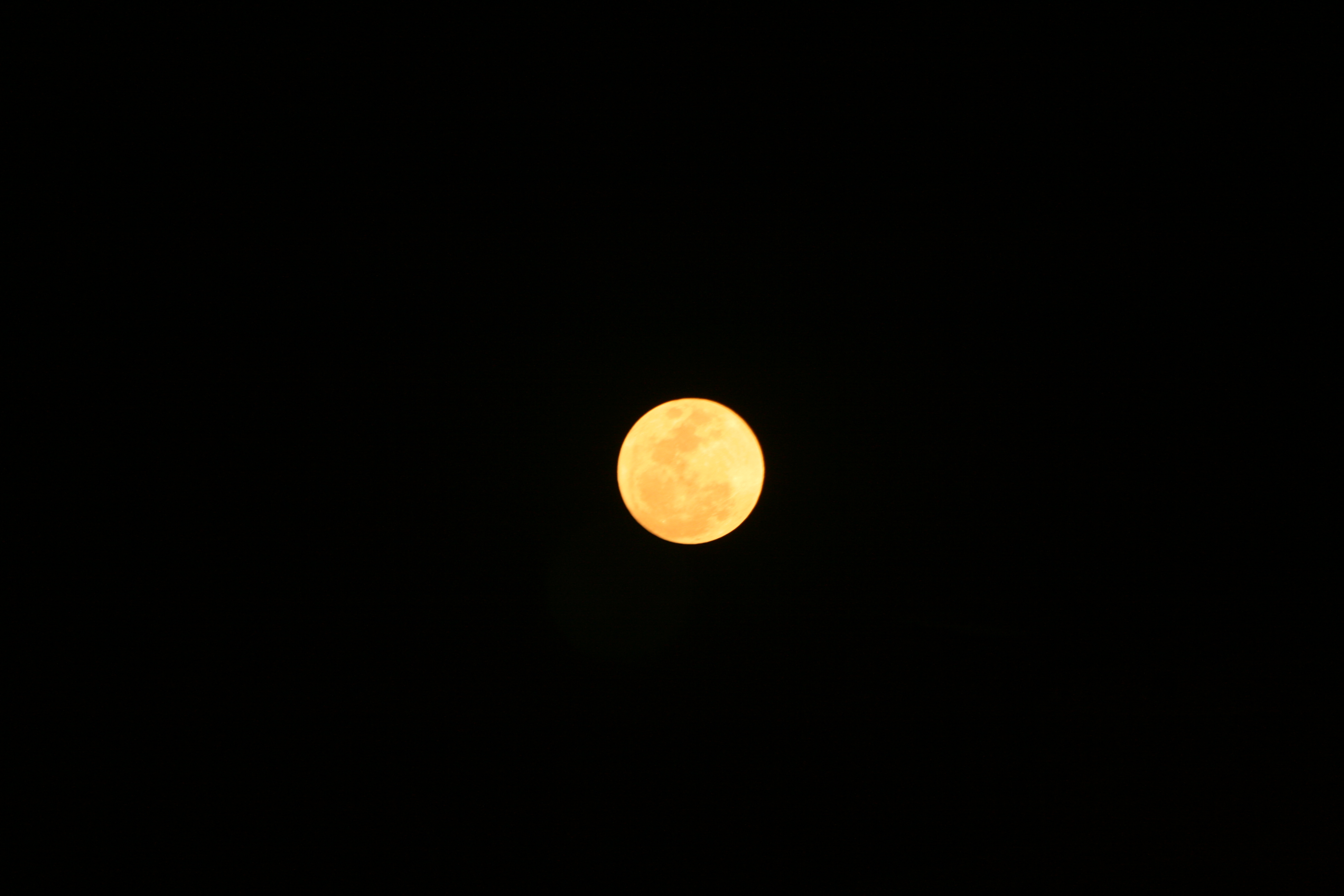 IMG_41011.JPG