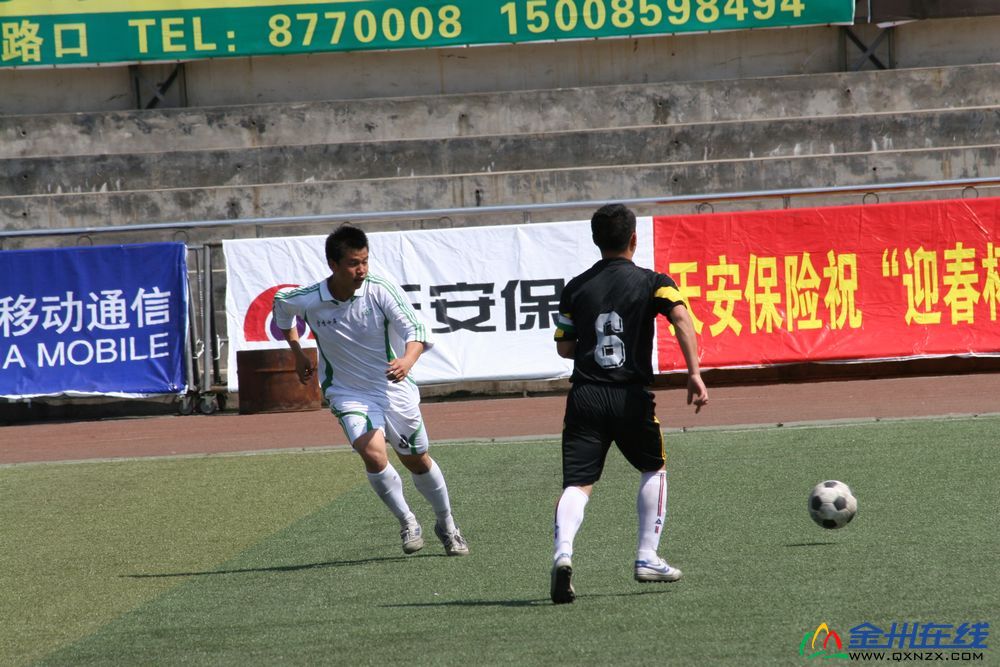 IMG_6463.jpg